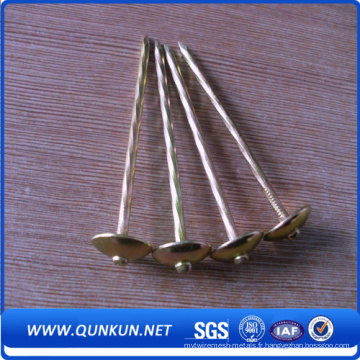 Haute qualité Bwg9 * 2.5 &quot;Galvanized Roofing Nail